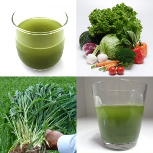 青汁飲み比べ